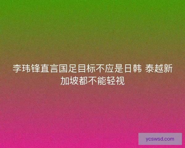 李玮锋直言国足目标不应是日韩 泰越新加坡都不能轻视