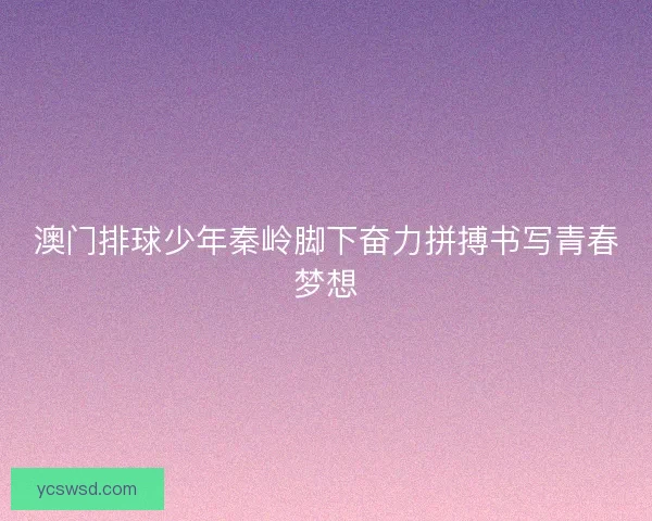 澳门排球少年秦岭脚下奋力拼搏书写青春梦想